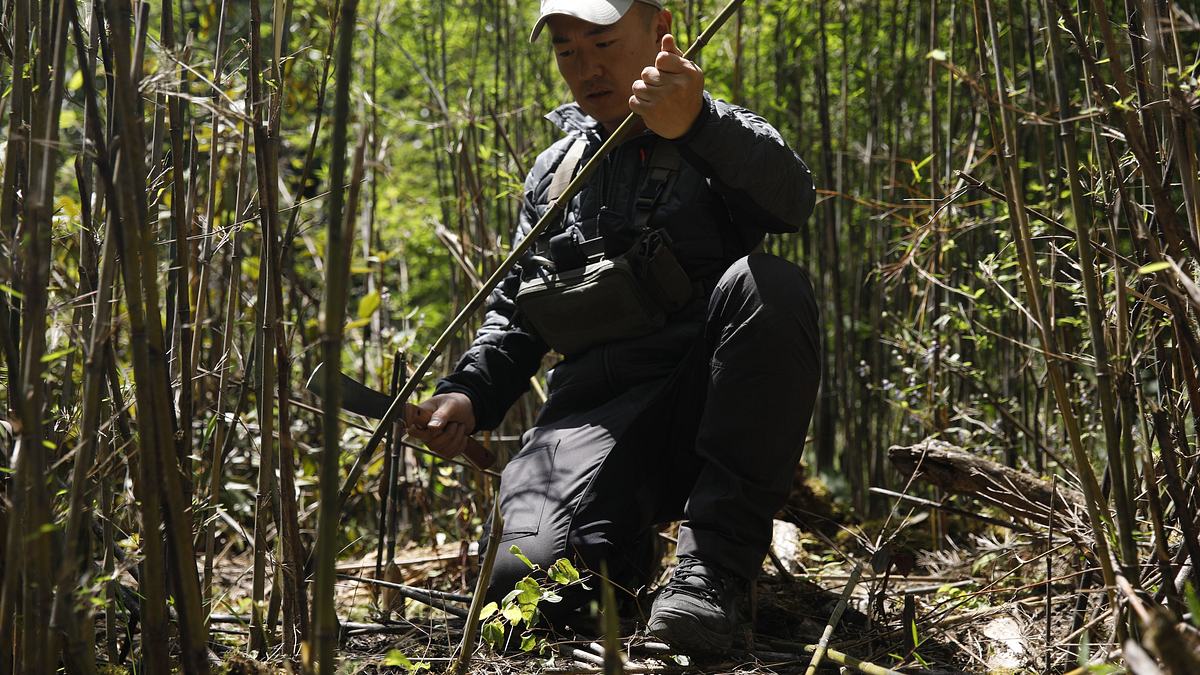 ed stafford: das survival-duell