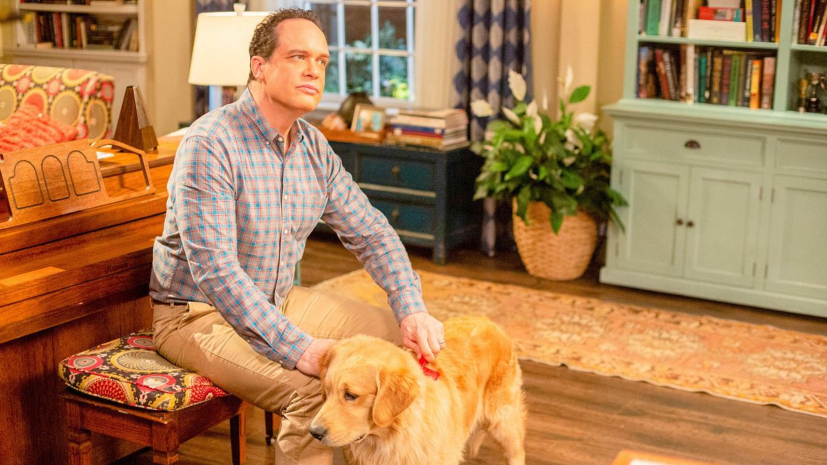 american housewife