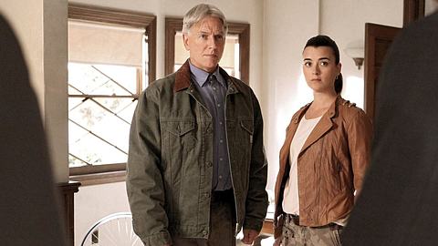 NCIS Ziva Gibbs