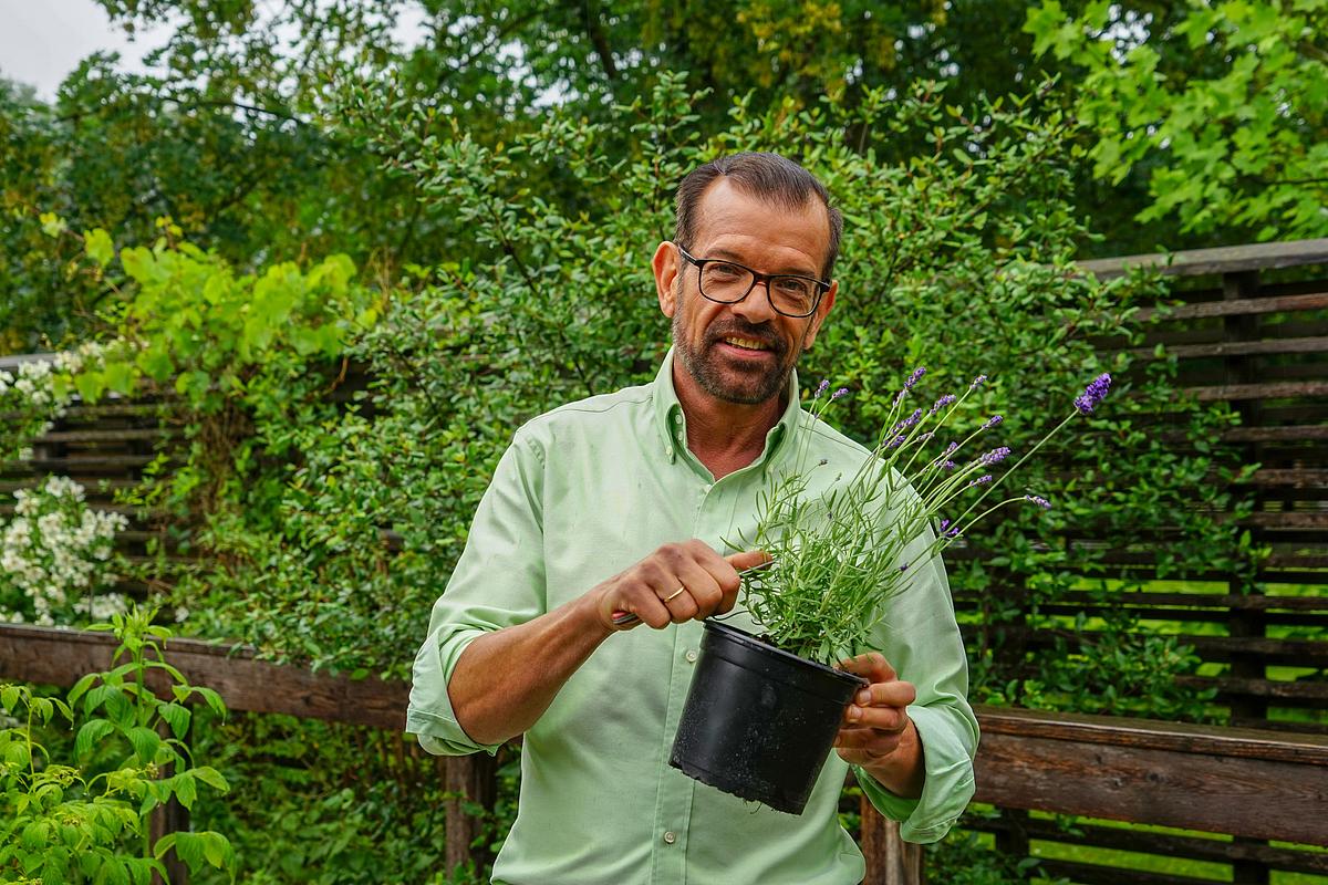 natur im garten