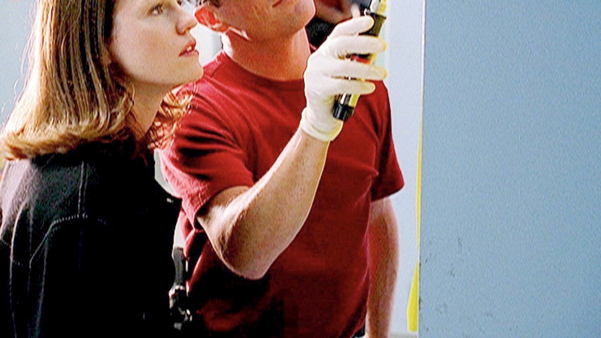 csi: den tätern auf der spur