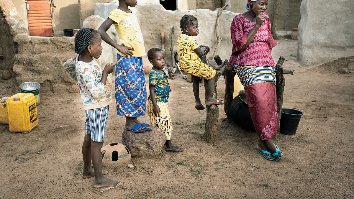 kadoua und die elefanten