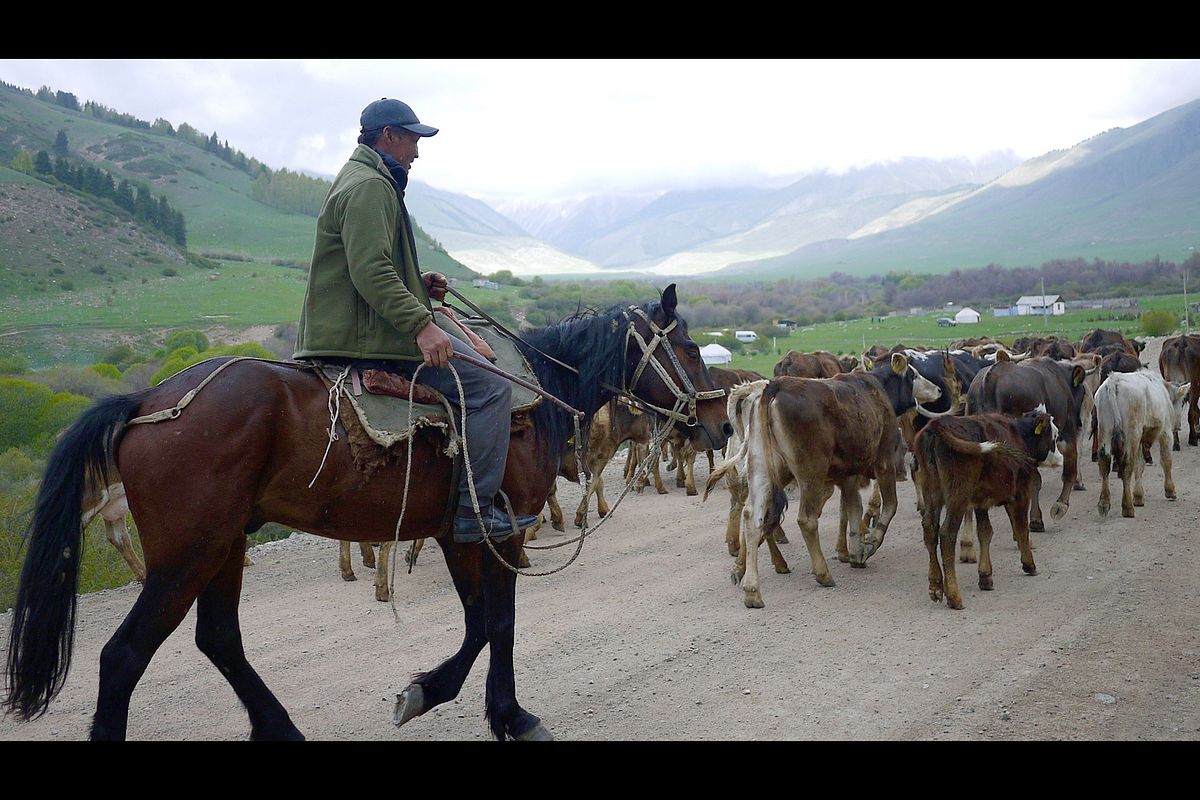 Kirgistan - Hochgebirgsland voller Schätze kirgistan - hochgebirgsland voller schätze