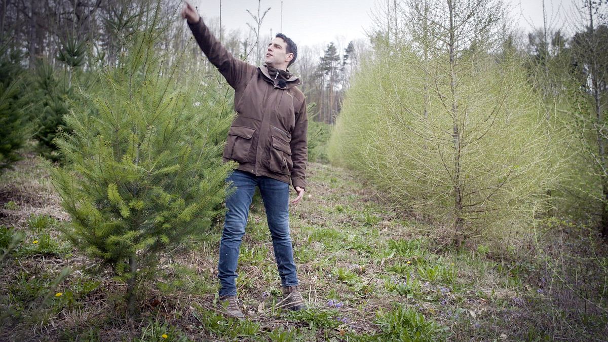 zurück zur natur