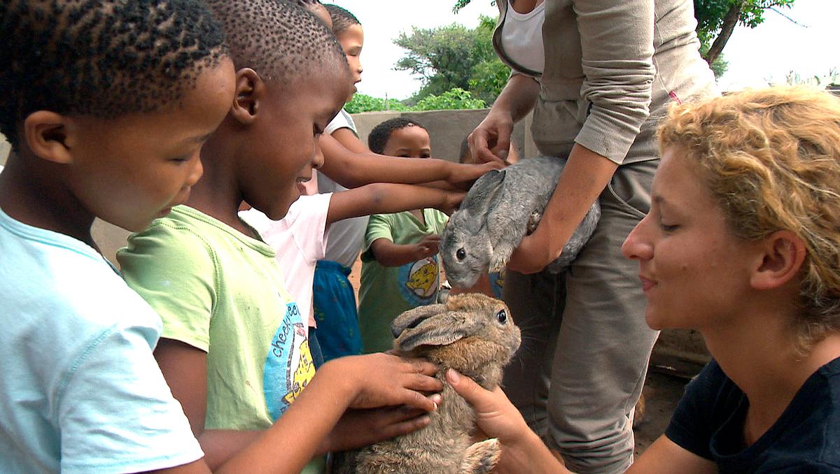 das waisenhaus für wilde tiere - abenteuer afrika