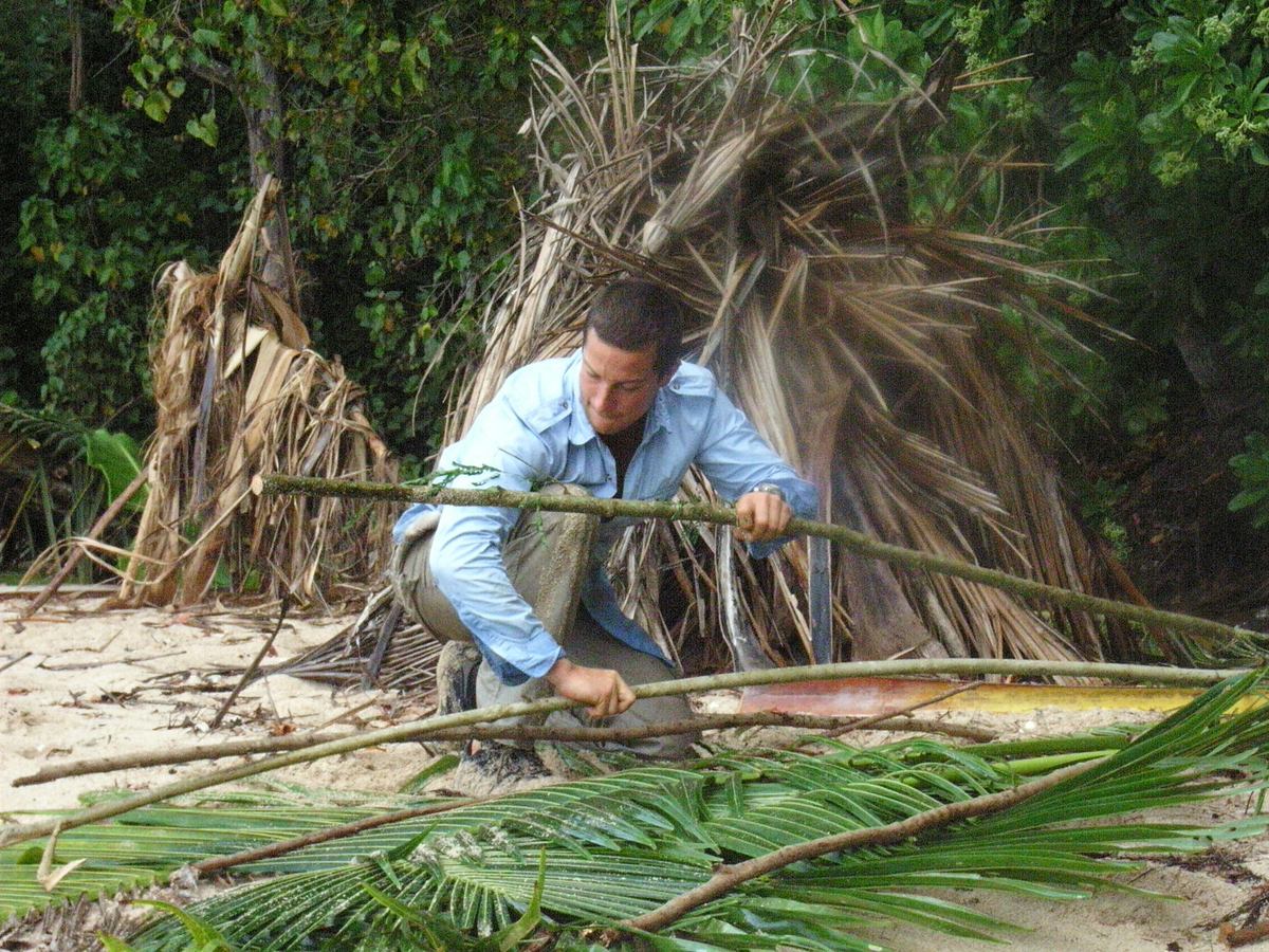 Ausgesetzt in der Wildnis ausgesetzt in der wildnis