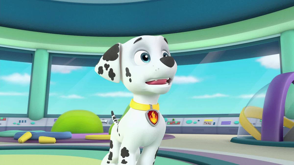 paw patrol - helfer auf vier pfoten