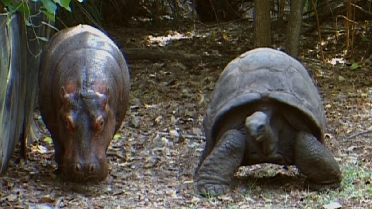 tierische freundschaften
