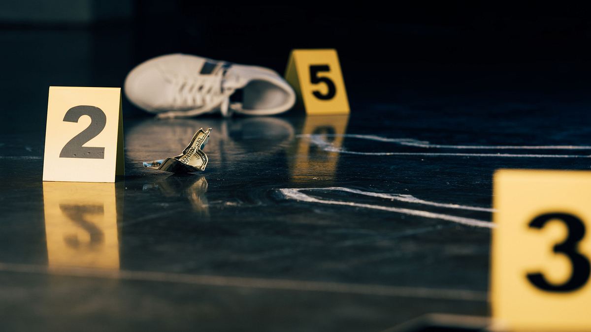 killer couples: mörderische paare