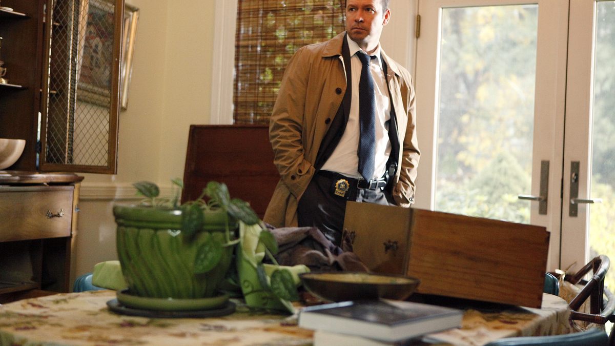 blue bloods - crime scene new york
