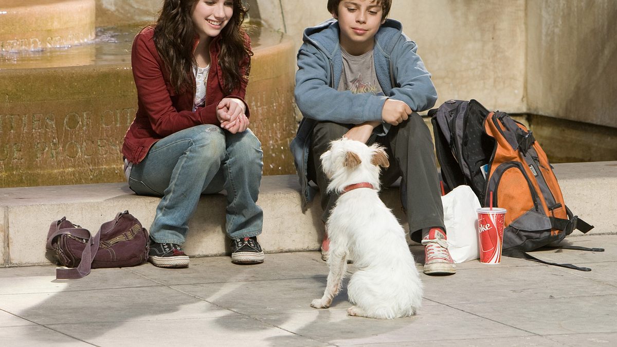 das hundehotel