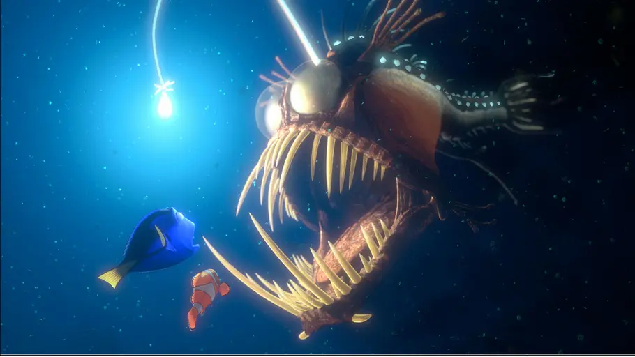 Findet Nemo findet nemo
