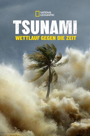 Tsunami: Wettlauf gegen die Zeit - Foto: TMDB