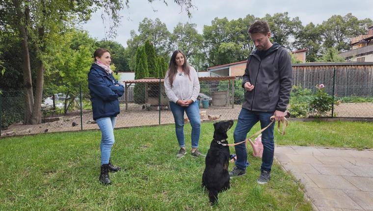 Der Hundeprofi - Rütters Team