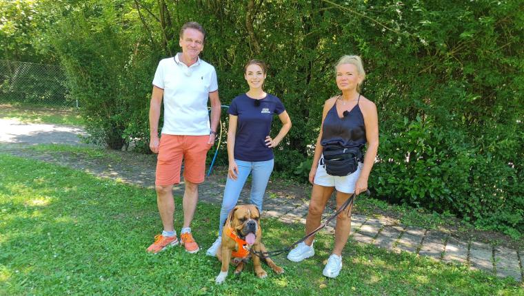 Der Hundeprofi - Rütters Team