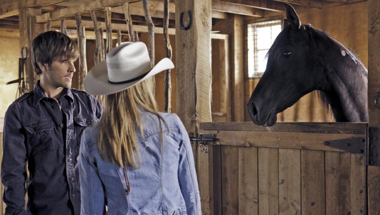 Heartland - Paradies für Pferde