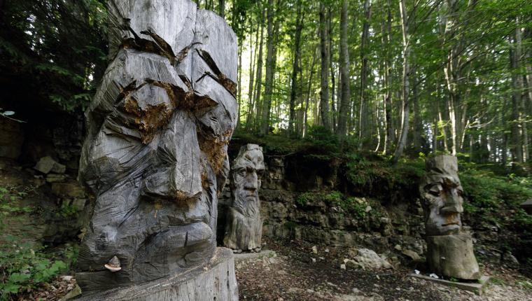 Die Waldflüsterin: Unterwegs bei den Zimbern