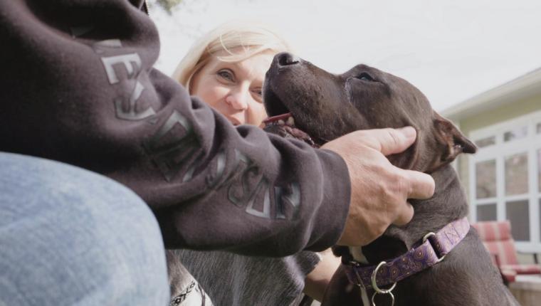 Pitbulls auf Bewährung