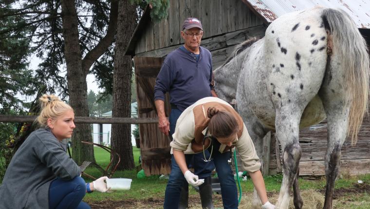 Der unglaubliche Dr. Pol