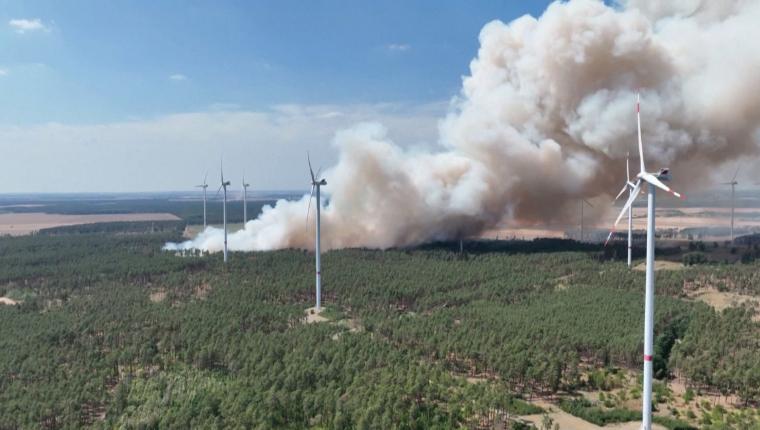 Deutschlands Wald im Wandel