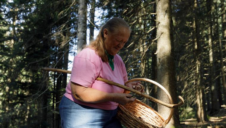 Die Waldflüsterin: Unterwegs bei den Zimbern