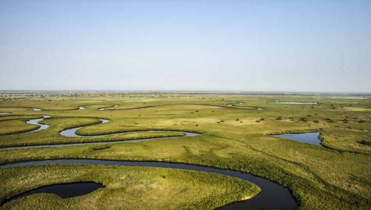 Okawango - Fluss der Träume