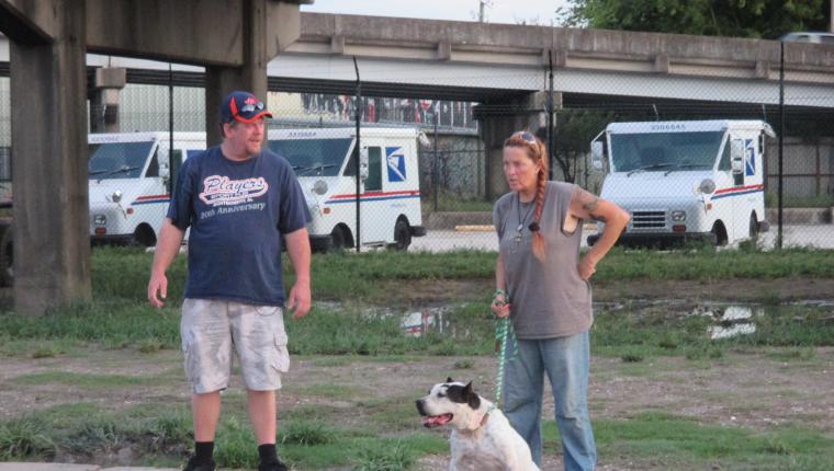 Pitbulls auf Bewährung