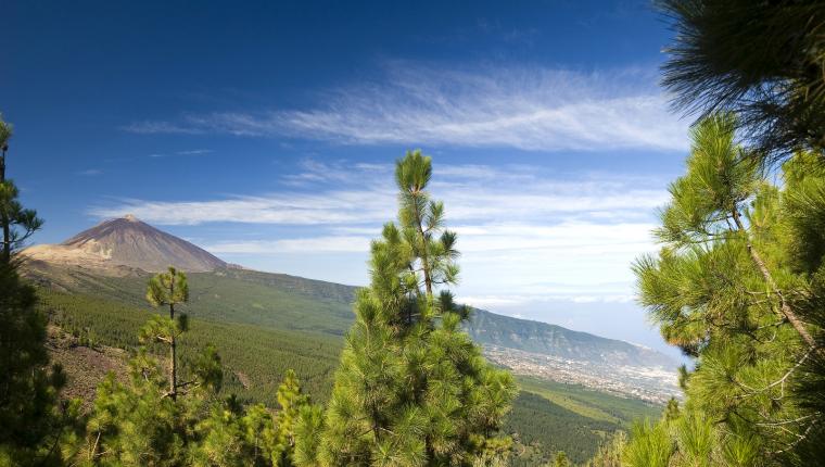 Nachhaltig unterwegs auf Teneriffa