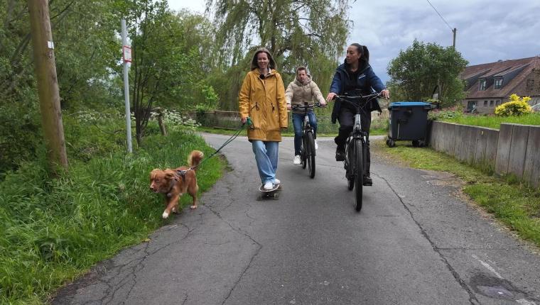 Der Hundeprofi - Rütters Team