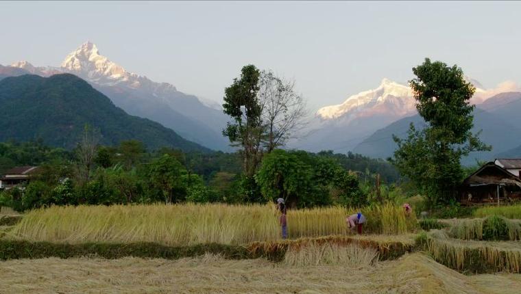 In the mountains there