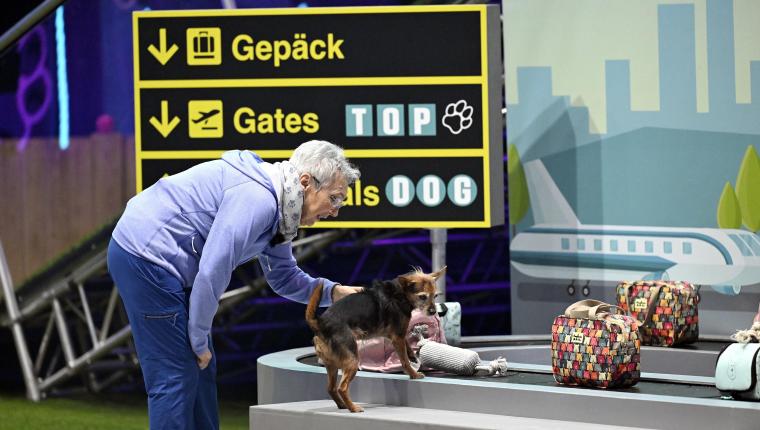 Top Dog Germany - Der beste Hund Deutschlands