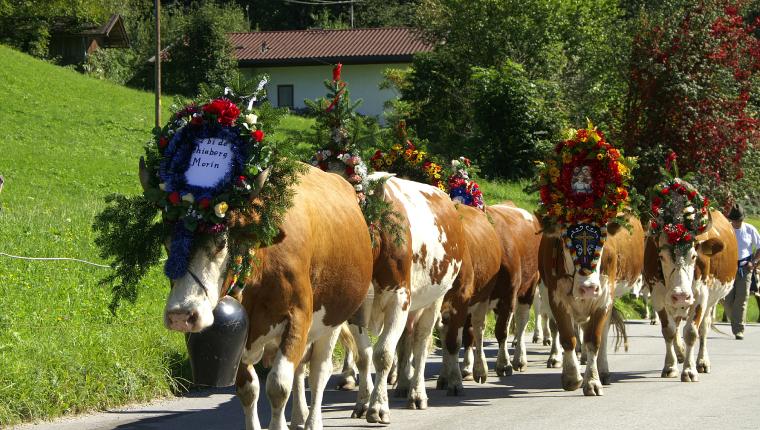 Heimatleuchten