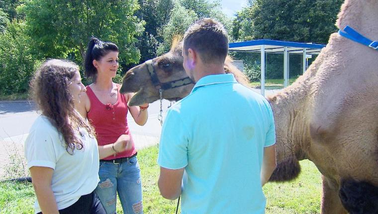 Bauer sucht Frau