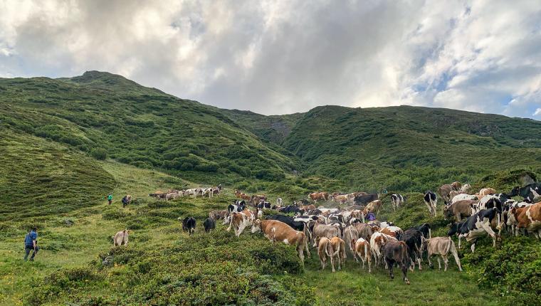 Vom Leben und Arbeiten im Hochgebirge