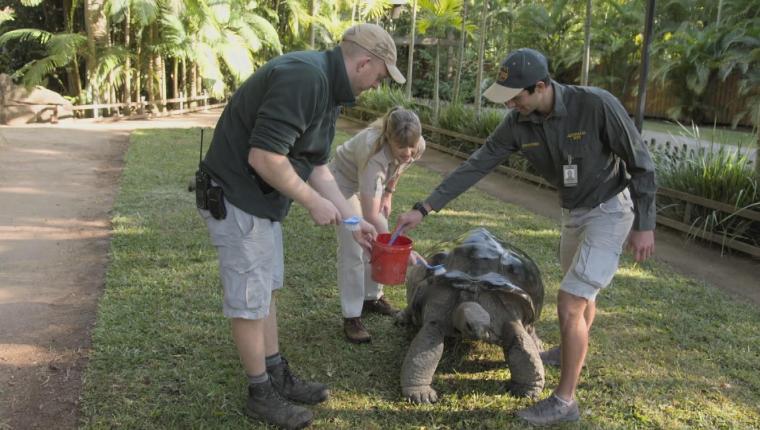 Die Irwins - Crocodile Hunter Family