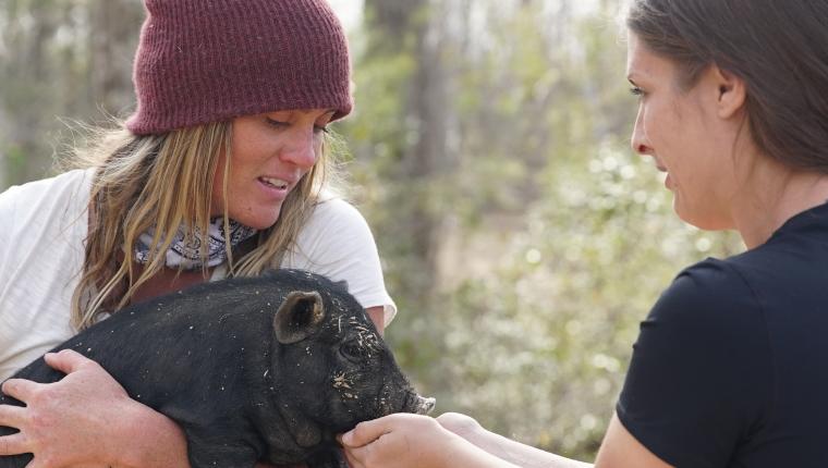 Home Rescue - Wohnen in der Wildnis