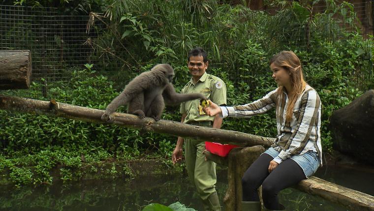 Anna und die wilden Tiere