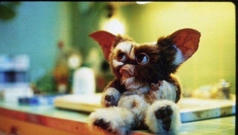 Gremlins - Kleine Monster