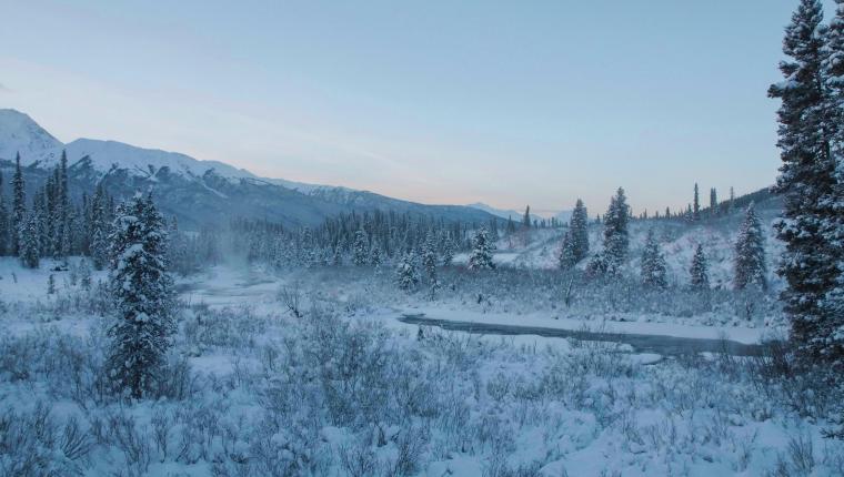 Life Below Zero - Überleben in Kanada