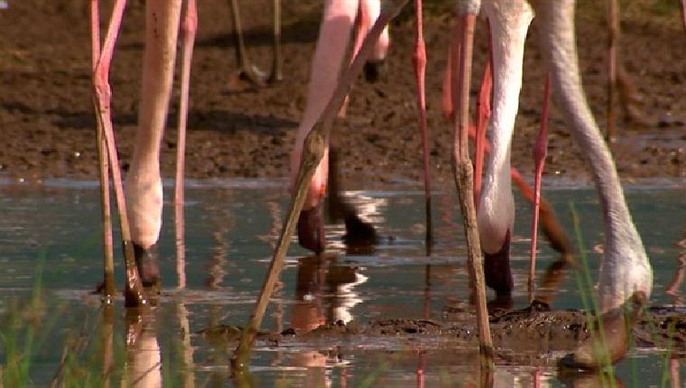 Geheimakte Wildnis