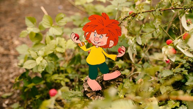 Neue Geschichten vom Pumuckl