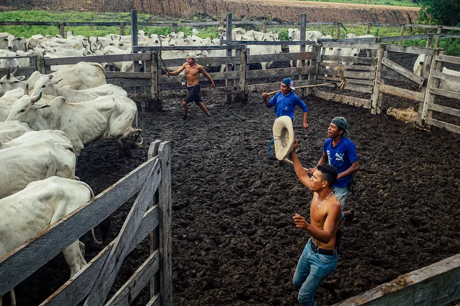 Abenteuer Brasilien - Ein Land wie ein Kontinent abenteuer brasilien - ein land wie ein kontinent