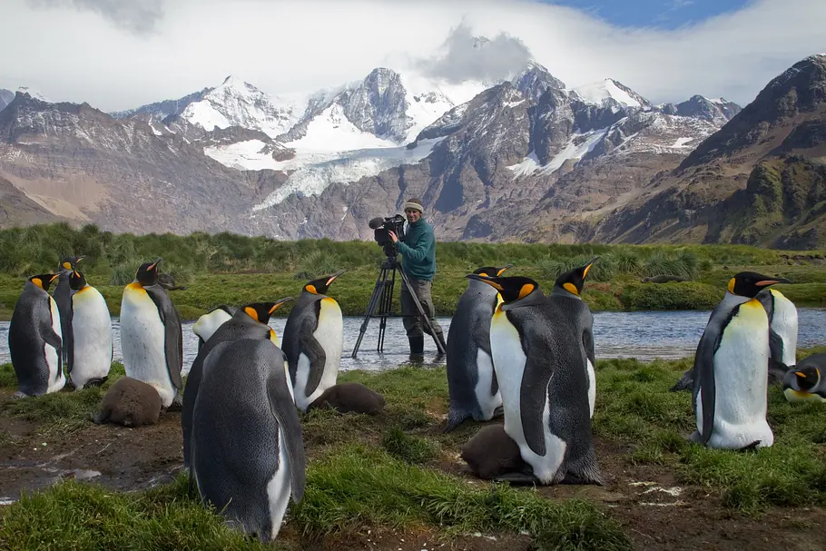 Abenteuer Wildnis abenteuer wildnis