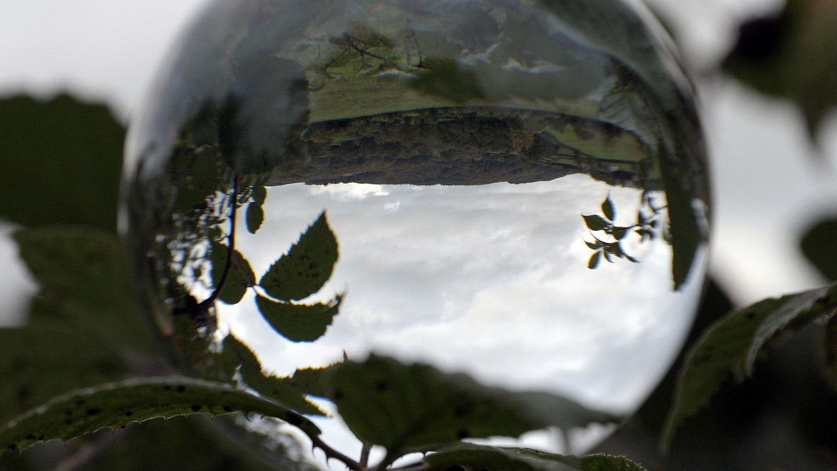 klimawandel und vogel-strauß-taktik - wie wir uns selbst betrügen