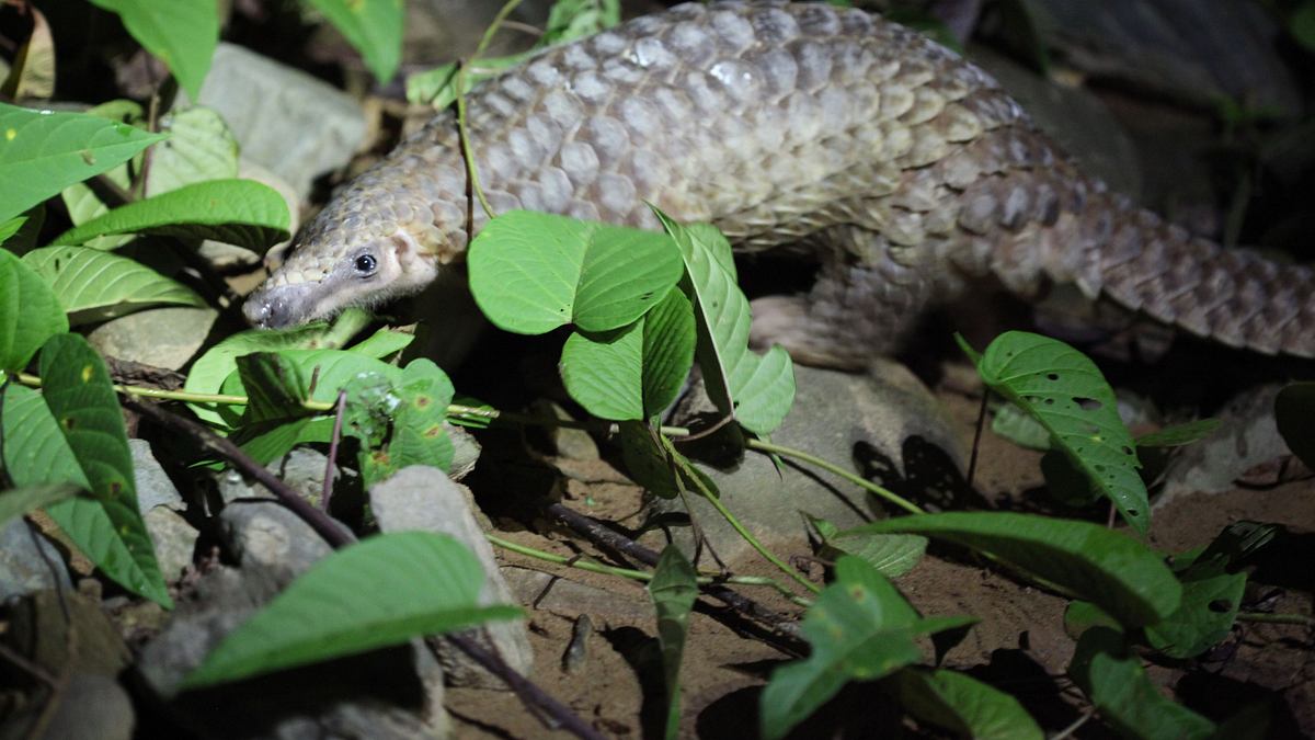 abenteuer wildnis