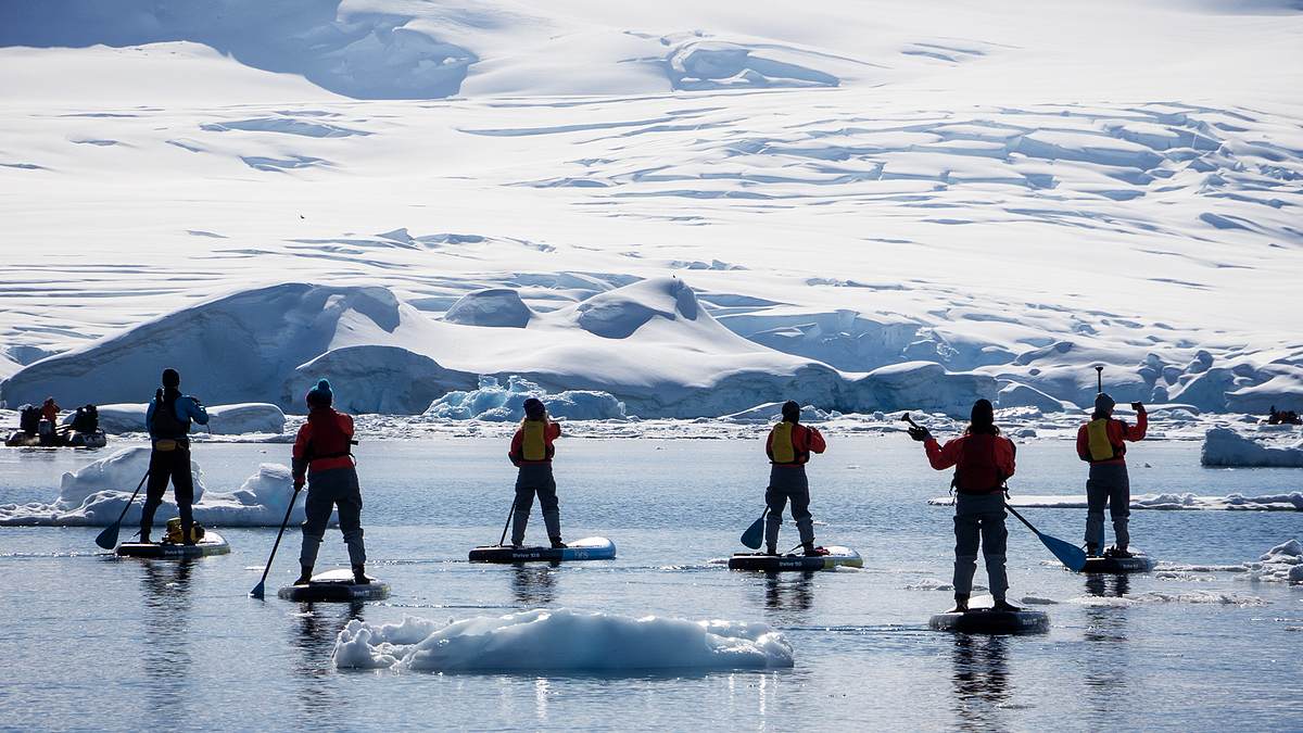 maritime masters: expedition antarctica