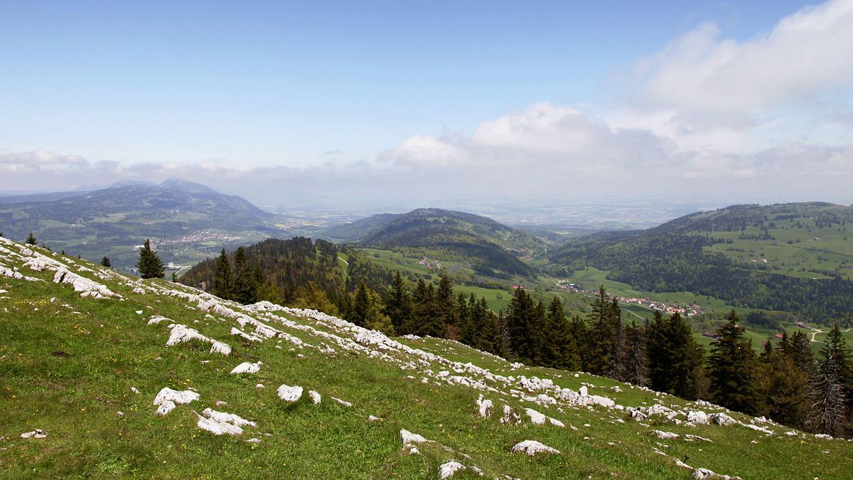 srf bi de lüt