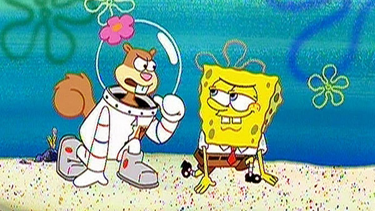 spongebob schwammkopf