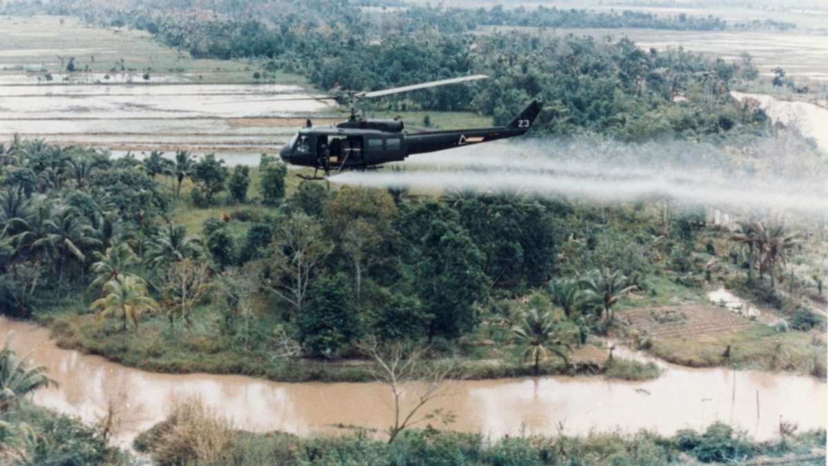vietnam - geburt einer nation