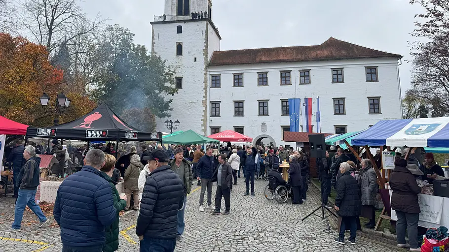 das slowenische weinland: jeruzalem, der šipon und das erbe der habsburger